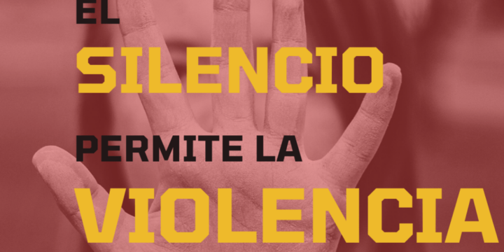 Tipos de Violencia contra las Mujeres y las Niñas