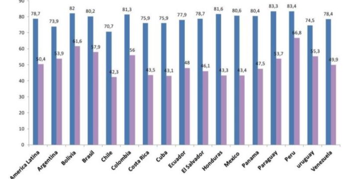 DESIGUALDAD Y DESARROLLO: dimensión de género
